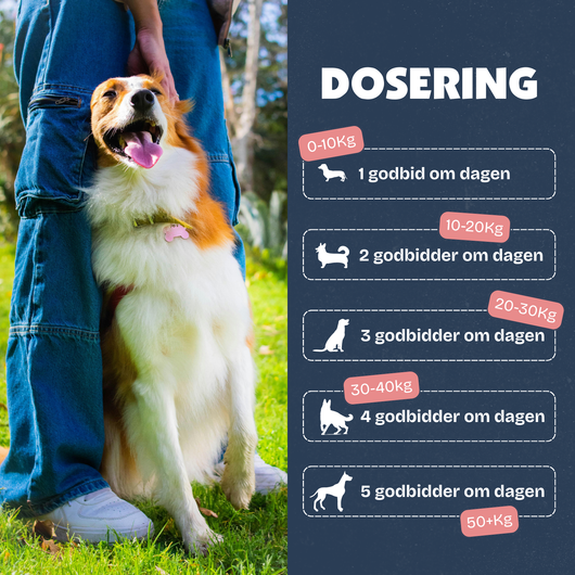 [da] Dog standing next to a person outdoors with dosing information on the side.