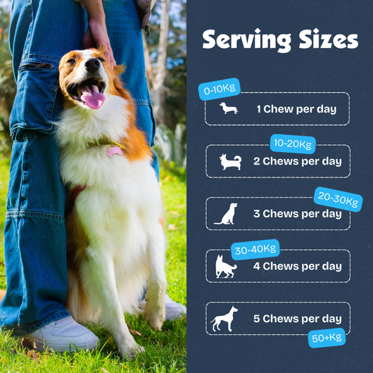 [en] Dog standing next to a person outdoors with serving sizes chart on the right