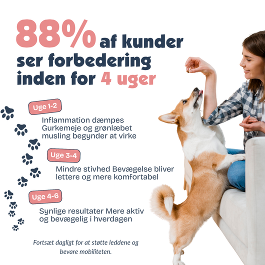 [da] Woman sitting on a couch with a dog, with text about customer satisfaction and product effects.