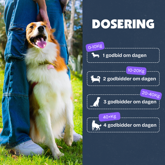 [da] Dog standing next to a person outdoors with dosing information on the right side.