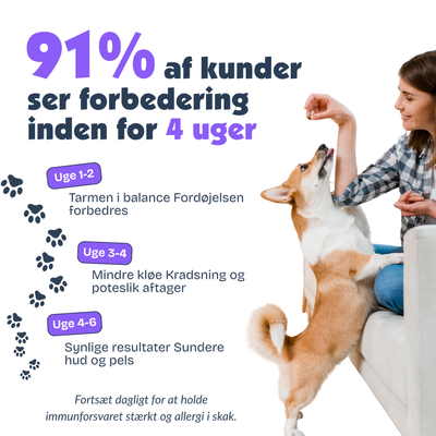 [da] Woman sitting on a couch with a dog, promoting a pet care product with text about customer feedback.