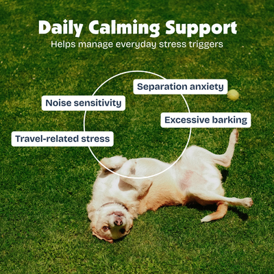 [en] Natural symptons