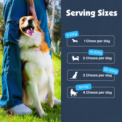 [en] Dog standing next to a person outdoors with serving sizes chart on the side