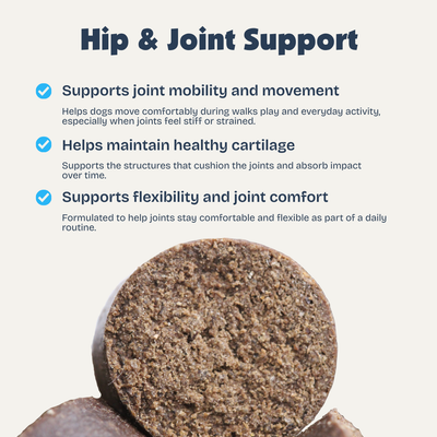 [en] Dog supplement for hip and joint support with text on benefits.