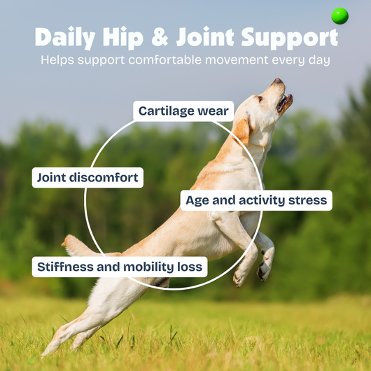 [en] Dog running on grass with text about daily hip and joint support